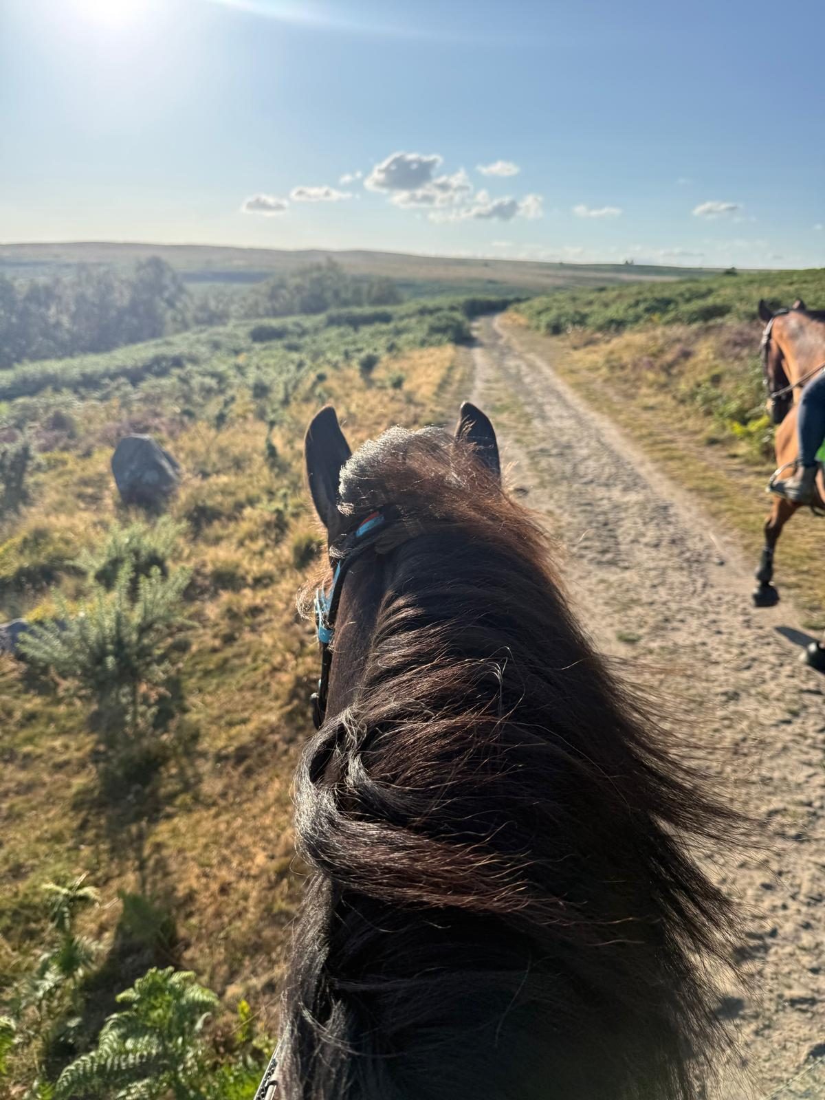 The view between a horse’s ears along a moorland track in the Peak District
